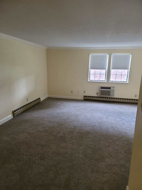 Botnam LLC cleaning project sample 1